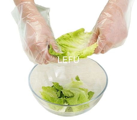 Transparent PE Plastic Clear Plastic Disposable Gloves Household Catering For Thick Winter Cleaning